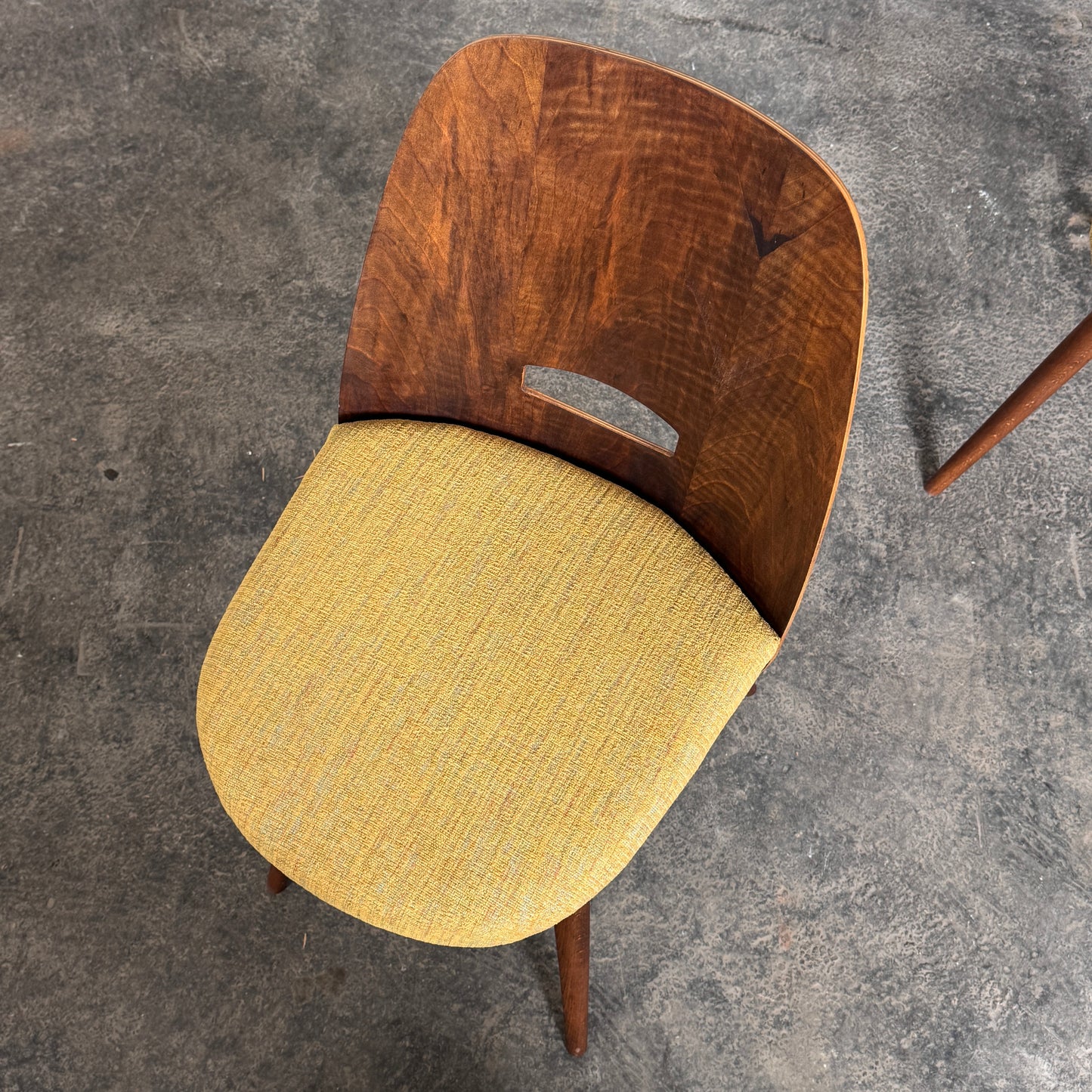 Set of 4 Fully Refurbished “Lollipop” Chairs by František Jirák for Tatra Nábytok, 1960s