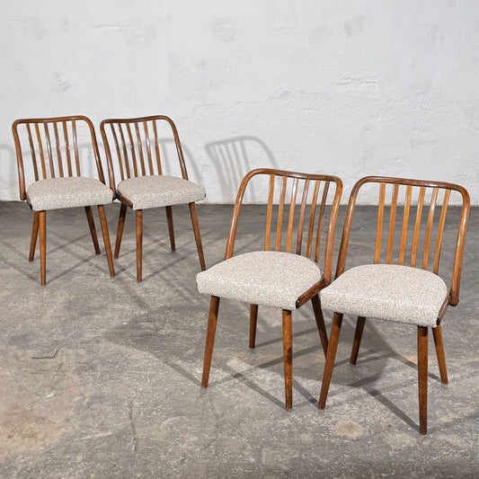 Set of 4 Jitona Bentwood Dining Chairs with New Upholstery, 1960s