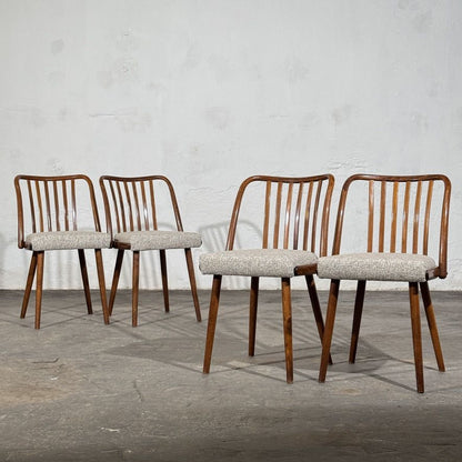 Set of 4 Jitona Bentwood Dining Chairs with New Upholstery, 1960s