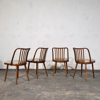 Set of 4 Jitona Bentwood Dining Chairs with New Upholstery, 1960s