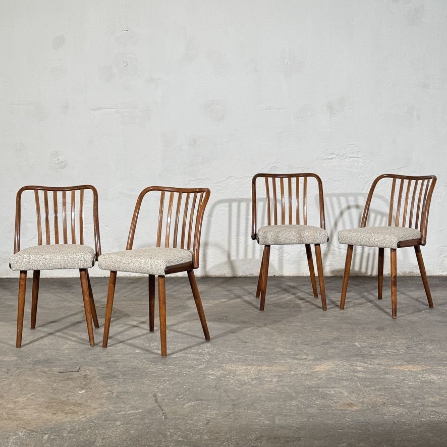 Set of 4 Jitona Bentwood Dining Chairs with New Upholstery, 1960s