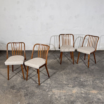 Set of 4 Jitona Bentwood Dining Chairs with New Upholstery, 1960s