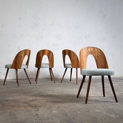 Set of 4 Dining Chairs by Antonín Šuman for Tatra Nábytok, 1960s – Fully Refurbished