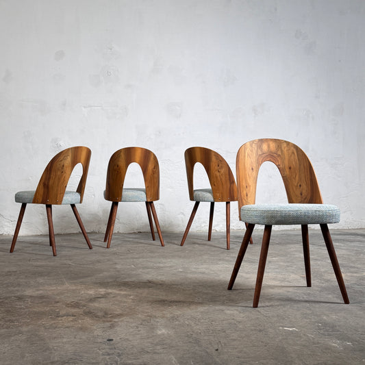 Set of 4 Dining Chairs by Antonín Šuman for Tatra Nábytok, 1960s – Fully Refurbished