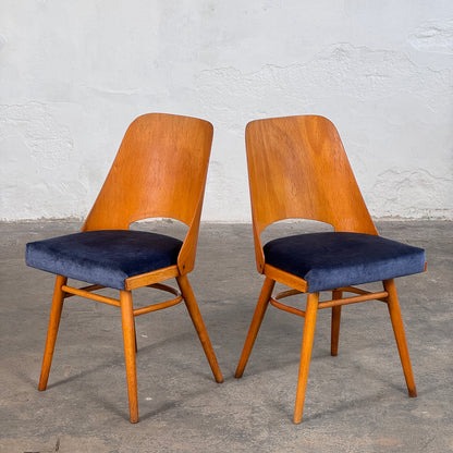 Mid-Century Dining Chairs by Radomír Hofman for TON, 1950