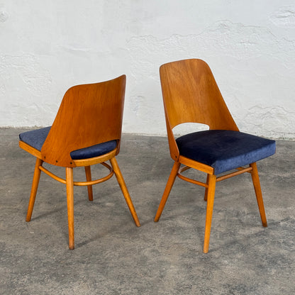 Mid-Century Dining Chairs by Radomír Hofman for TON, 1950
