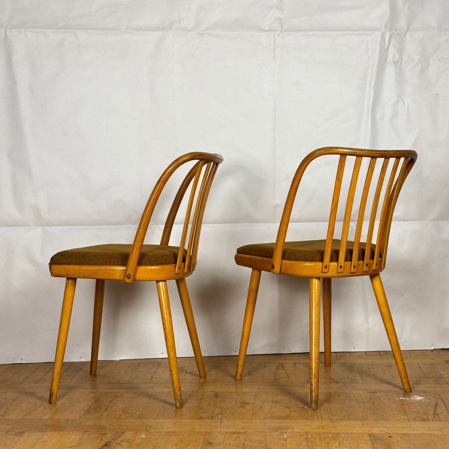 Set of 4 dining chairs by Antonin Suman for Jitona 1960s