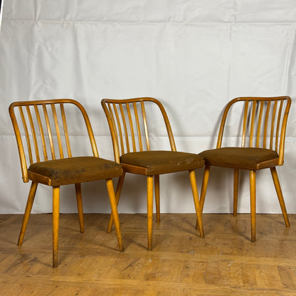 Set of 4 dining chairs by Antonin Suman for Jitona 1960s