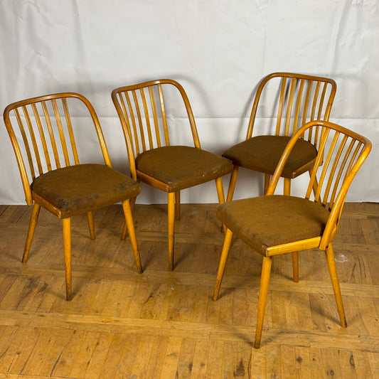 Set of 4 dining chairs by Antonin Suman for Jitona 1960s