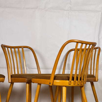 Set of 4 dining chairs by Antonin Suman for Jitona 1960s