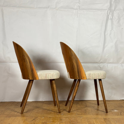 Set of 2 Tatra Nabytok chair by Antonin Suman 1960s