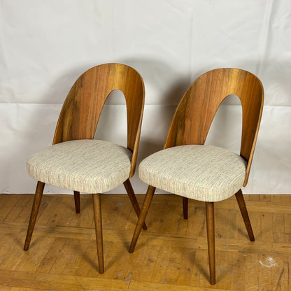 Set of 2 Tatra Nabytok chair by Antonin Suman 1960s