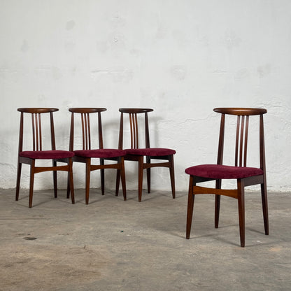 Set of 5 Polish Dining Chairs by M. Zielinski, 1960s