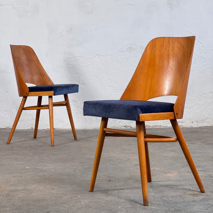 Mid-Century Dining Chairs by Radomír Hofman for TON, 1950