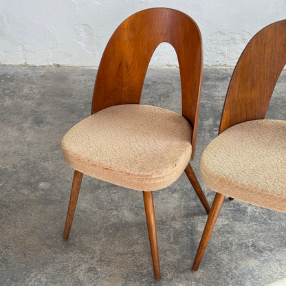 Set of 4 Antonín Šuman Dining Chairs for Tatra Nábytok, 1960