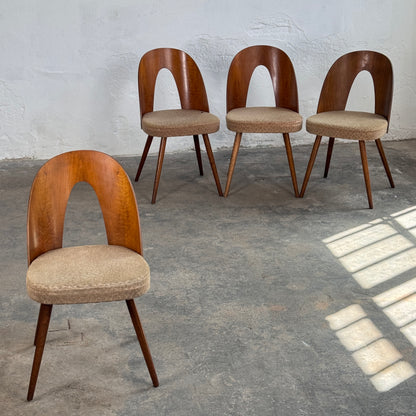 Set of 4 Antonín Šuman Dining Chairs for Tatra Nábytok, 1960