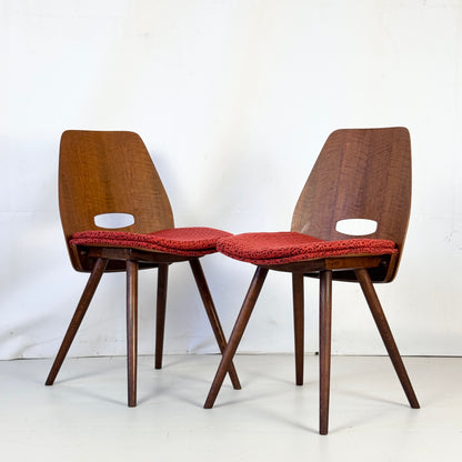 Set of 4 Retro Tatra Nábytok Dining Chairs, 1960s — Czechoslovakian Mid-Century Design