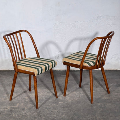 Set of 4 Jitona Dining Chairs, 1960s