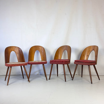 Set of 4 Antonín Šuman Dining Chairs for Tatra Nábytok, 1960s — Vintage Czechoslovakian Design (Needs Refurbishment)