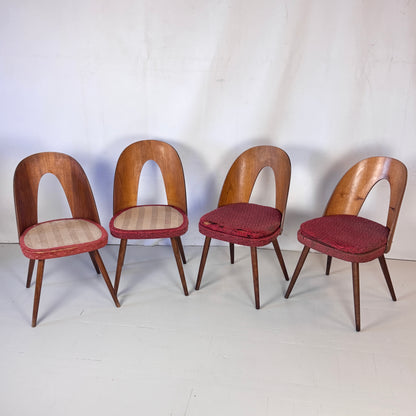 Set of 4 Antonín Šuman Dining Chairs for Tatra Nábytok, 1960s — Vintage Czechoslovakian Design (Needs Refurbishment)
