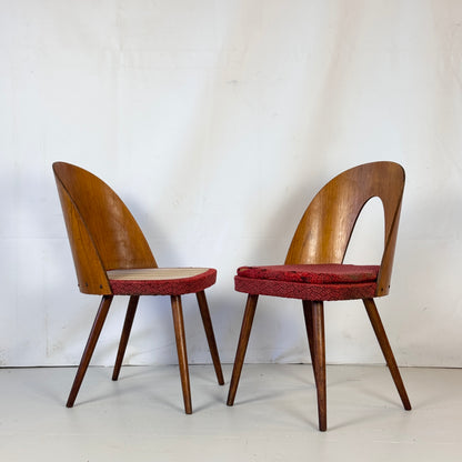 Set of 4 Antonín Šuman Dining Chairs for Tatra Nábytok, 1960s — Vintage Czechoslovakian Design (Needs Refurbishment)