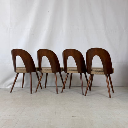 Set of 4 Dining Chairs by Antonín Šuman for Tatra Nabytok, 1960s
