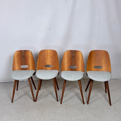 Set of 4 Fully Restored Tatra Nábytok Dining Chairs, 1960s