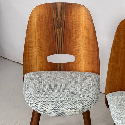 Set of 4 Fully Restored Tatra Nábytok Dining Chairs, 1960s