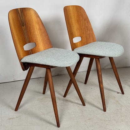 Set of 4 Fully Restored Tatra Nábytok Dining Chairs, 1960s