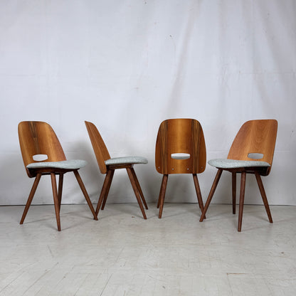 Set of 4 Fully Restored Tatra Nábytok Dining Chairs, 1960s