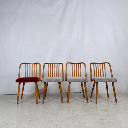 Jitona Czechoslovakian Dining Chairs, 1960s – Set of 4