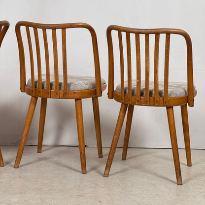 Jitona Czechoslovakian Dining Chairs, 1960s – Set of 4