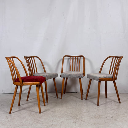 Jitona Czechoslovakian Dining Chairs, 1960s – Set of 4