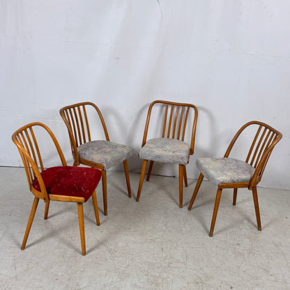 Jitona Czechoslovakian Dining Chairs, 1960s – Set of 4