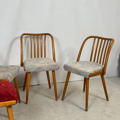 Jitona Czechoslovakian Dining Chairs, 1960s – Set of 4