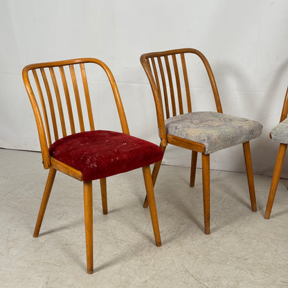 Jitona Czechoslovakian Dining Chairs, 1960s – Set of 4