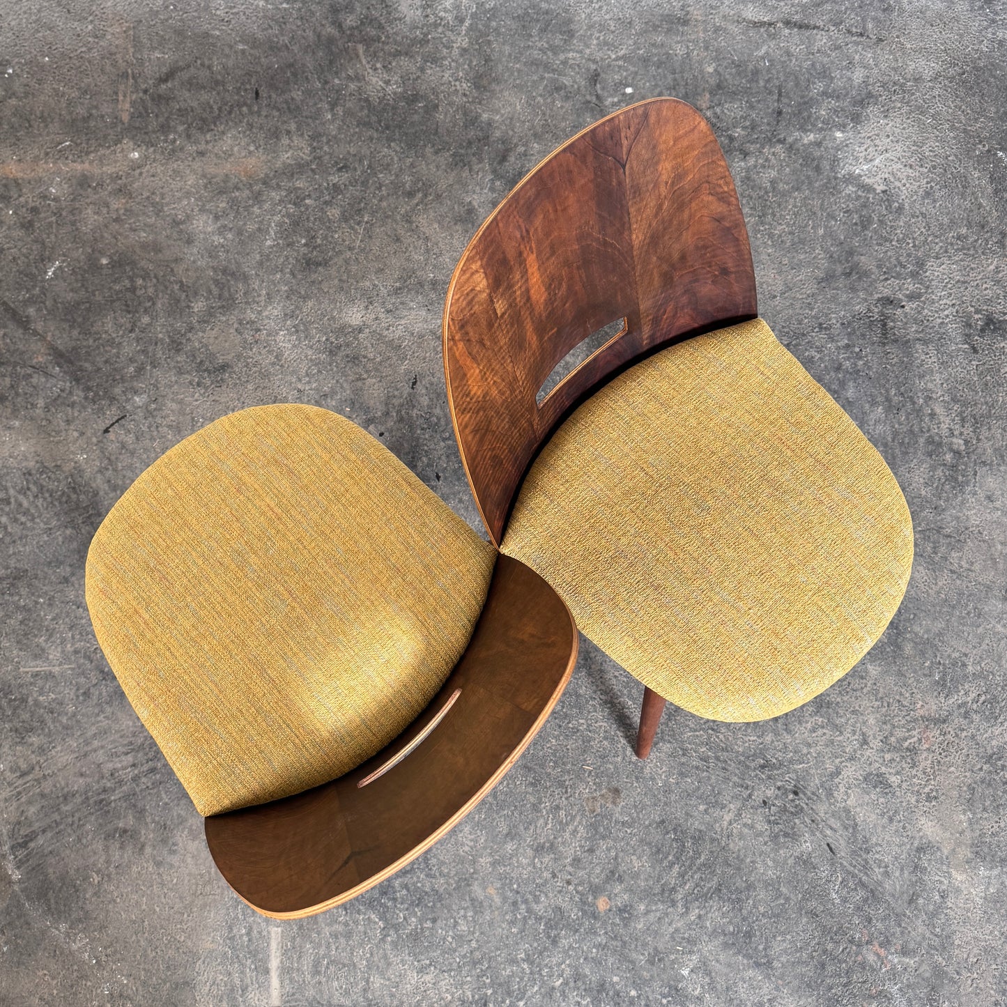 Set of 4 Fully Refurbished “Lollipop” Chairs by František Jirák for Tatra Nábytok, 1960s