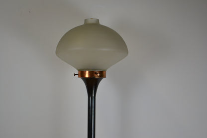 Hungarian designer standing lamp