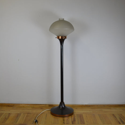 Hungarian designer standing lamp