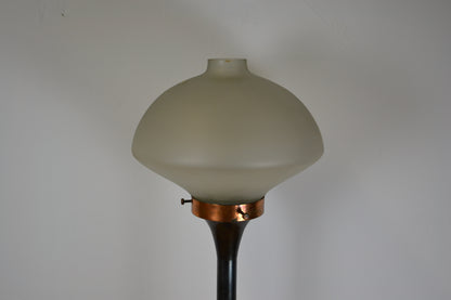 Hungarian designer standing lamp