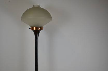 Hungarian designer standing lamp